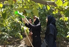 بازدید از ایستگاه کرم به شهرستان فلاورجان